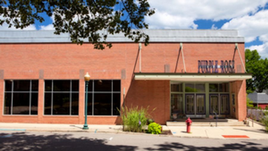 The Purple Rose Theatre Announces Virtual Auditions for 2020/2021 Season  Image
