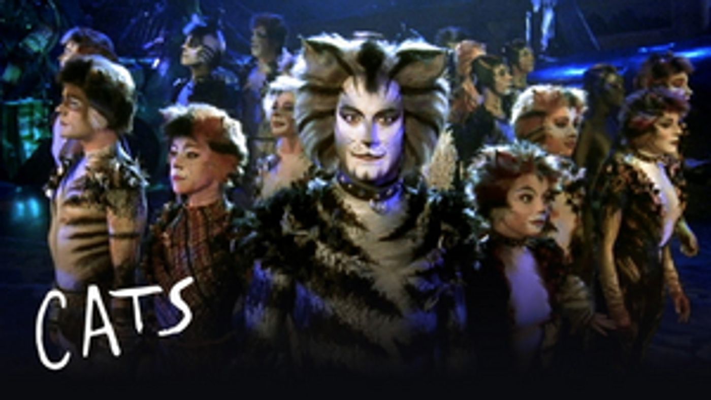 Review: CATS, The Shows Must Go On  Image