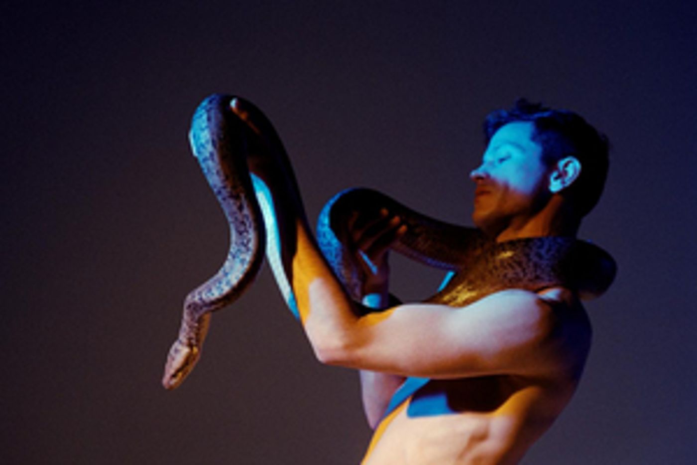 Perfume Genius Announces 'Without You' Video Competition Perfume Genius Announces 'Without You' Video Competition Image