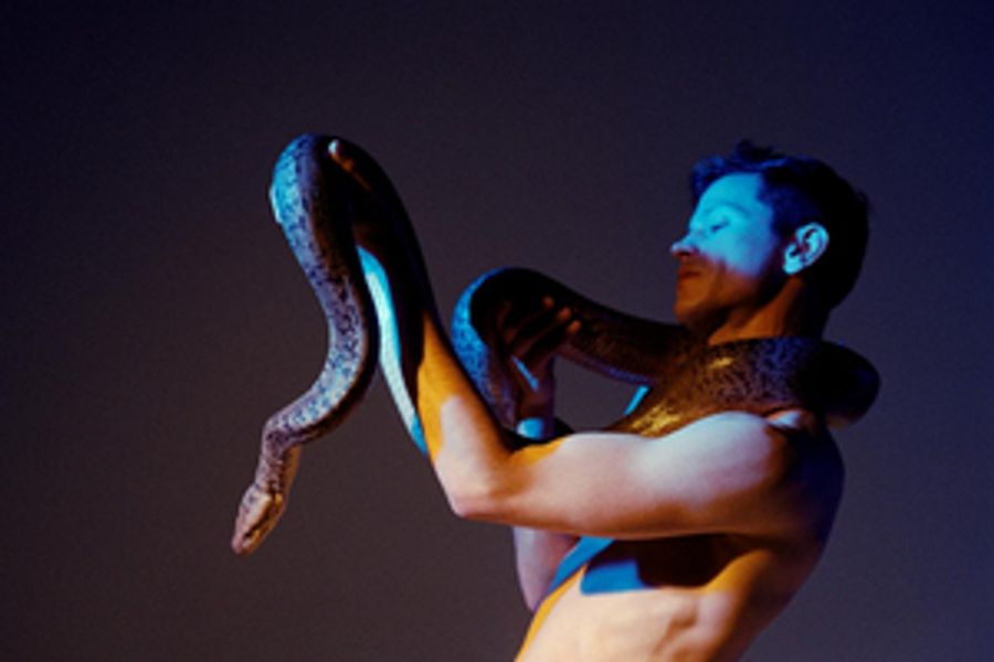 Perfume Genius Announces 'Without You' Video Competition Image