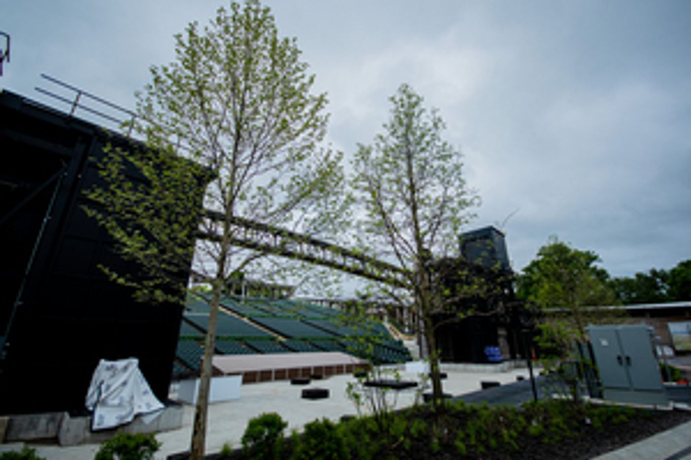 The Muny's Iconic Tree Canopy Returns  Image