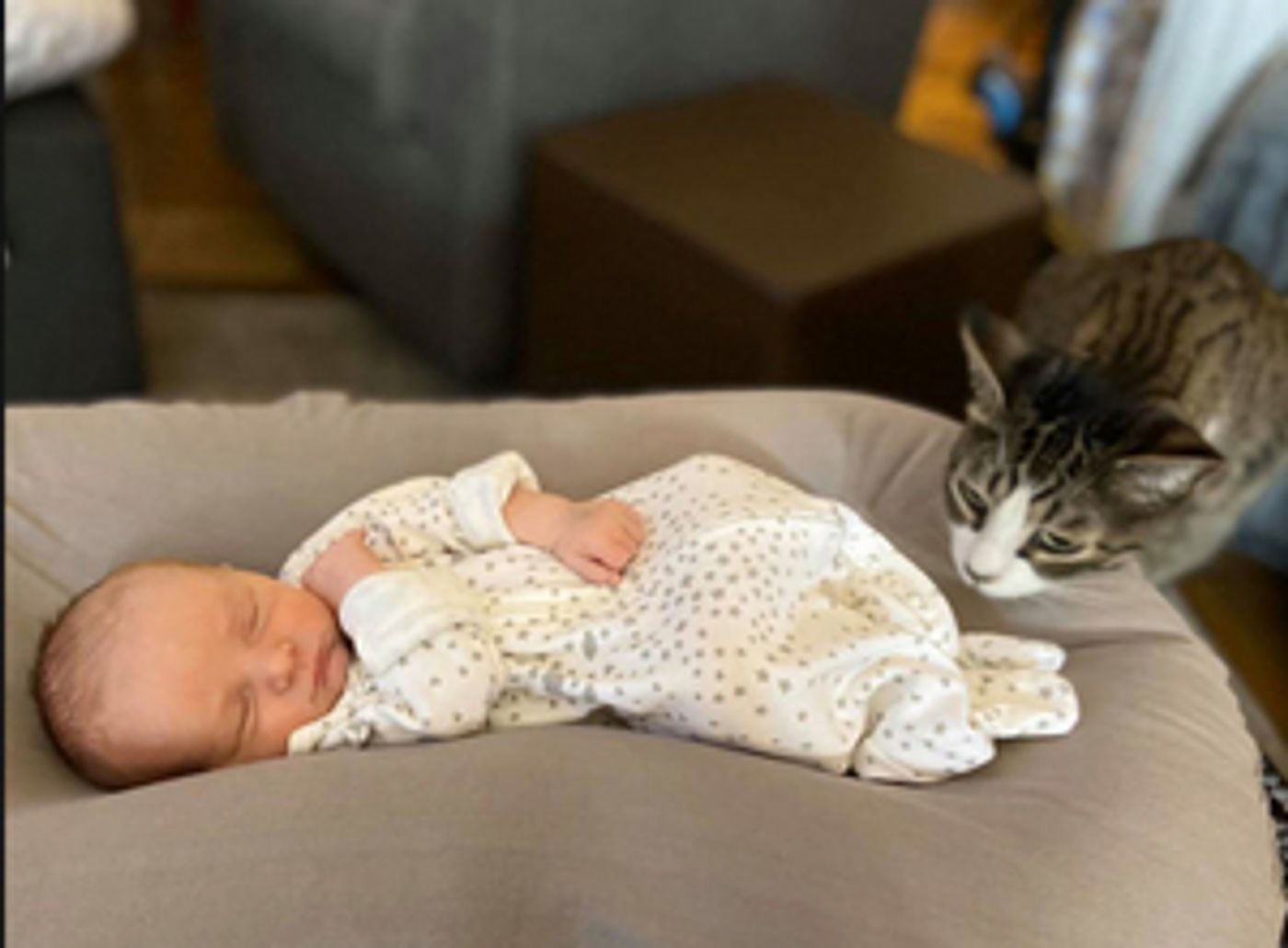 Interview: At Home With Susie Mosher And Her (Finally) Complete Family  Image