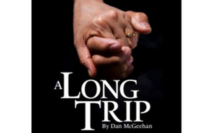 Brainerd Community Theatre Presents A LONG TRIP Live on Zoom Image
