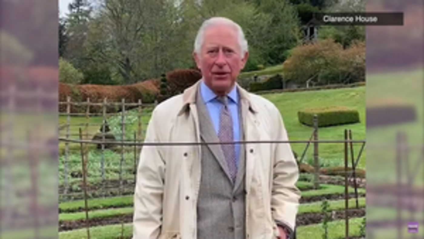 Prince Charles Shares Concerns About the Future of the Arts  Image
