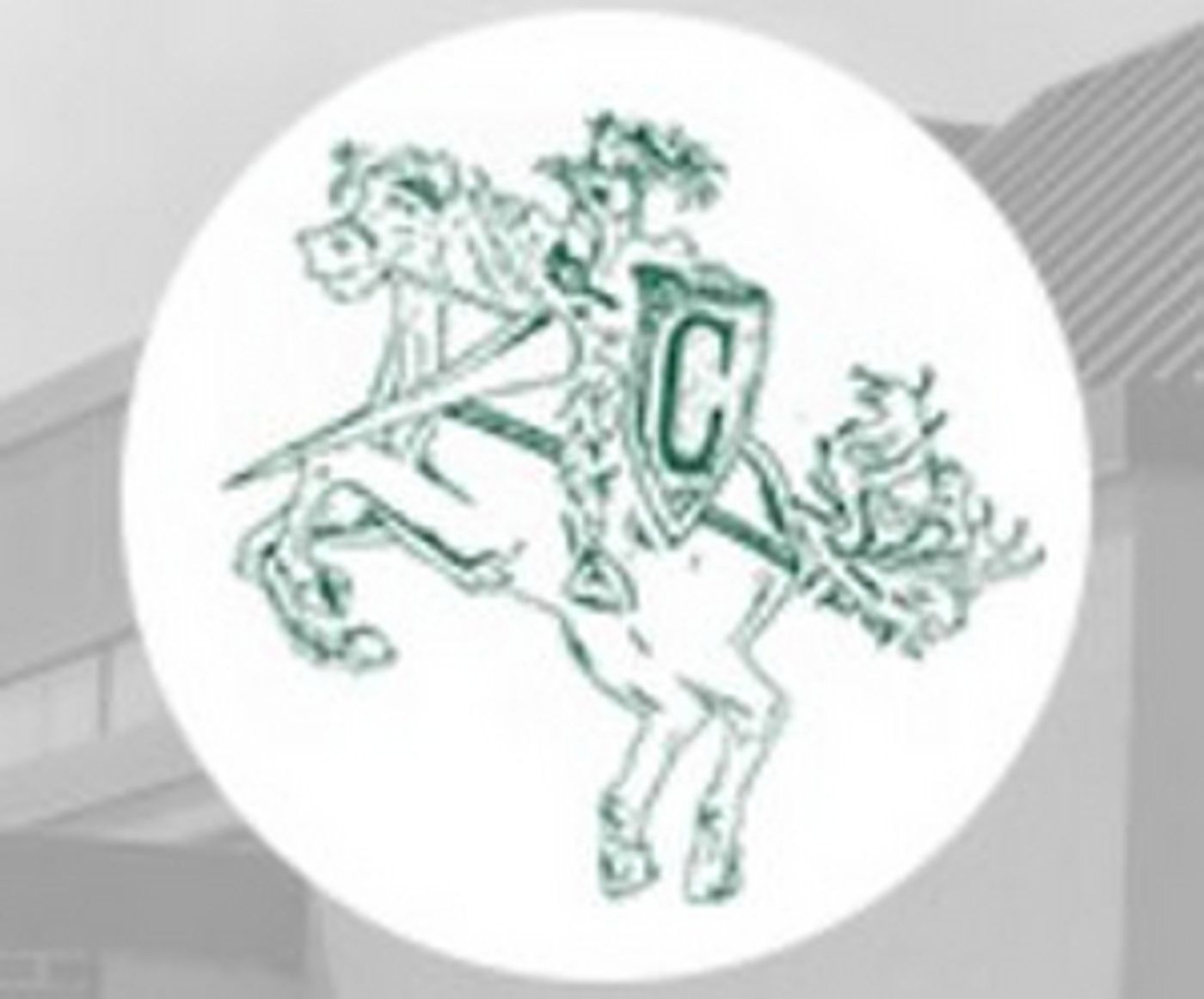 Chariho High School Theatre Company Prepares to Stage THE HUNCHBACK OF NOTRE DAME  Image