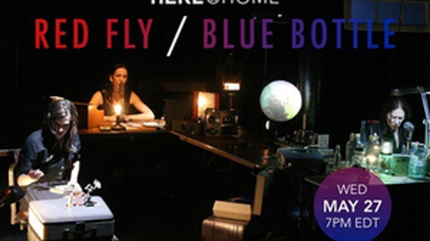 HERE@Home Presents a Stream of RED FLY/BLUE BOTTLE HERE@Home Presents a Stream of RED FLY/BLUE BOTTLE Image