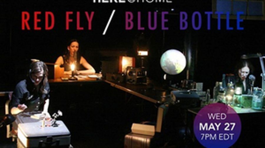 HERE@Home Presents a Stream of RED FLY/BLUE BOTTLE  Image