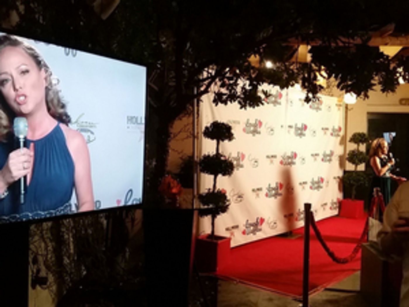 BWW Spotlight Series: Meet Julia Buis, an L.A. Actor Who Traveled the World Entertaining Before Settling in Hamburg, Germany  Image