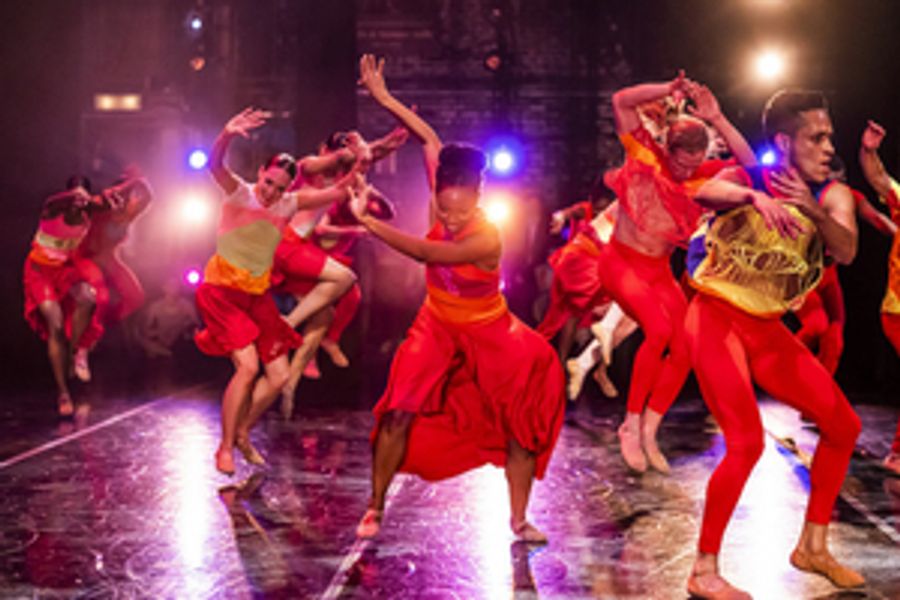 DANCE FOR LIFE 2020 Goes Digital  Image