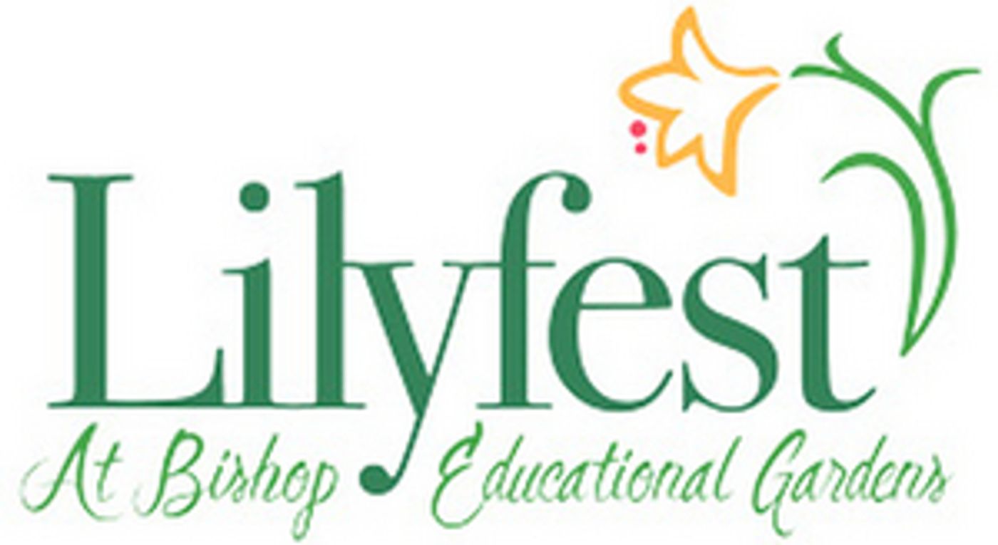 Lilyfest Reinvents Itself As Interactive Experience Lilyfest Reinvents Itself As Interactive Experience Image
