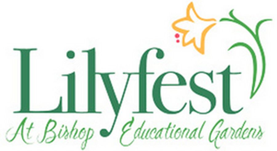Lilyfest Reinvents Itself As Interactive Experience  Image