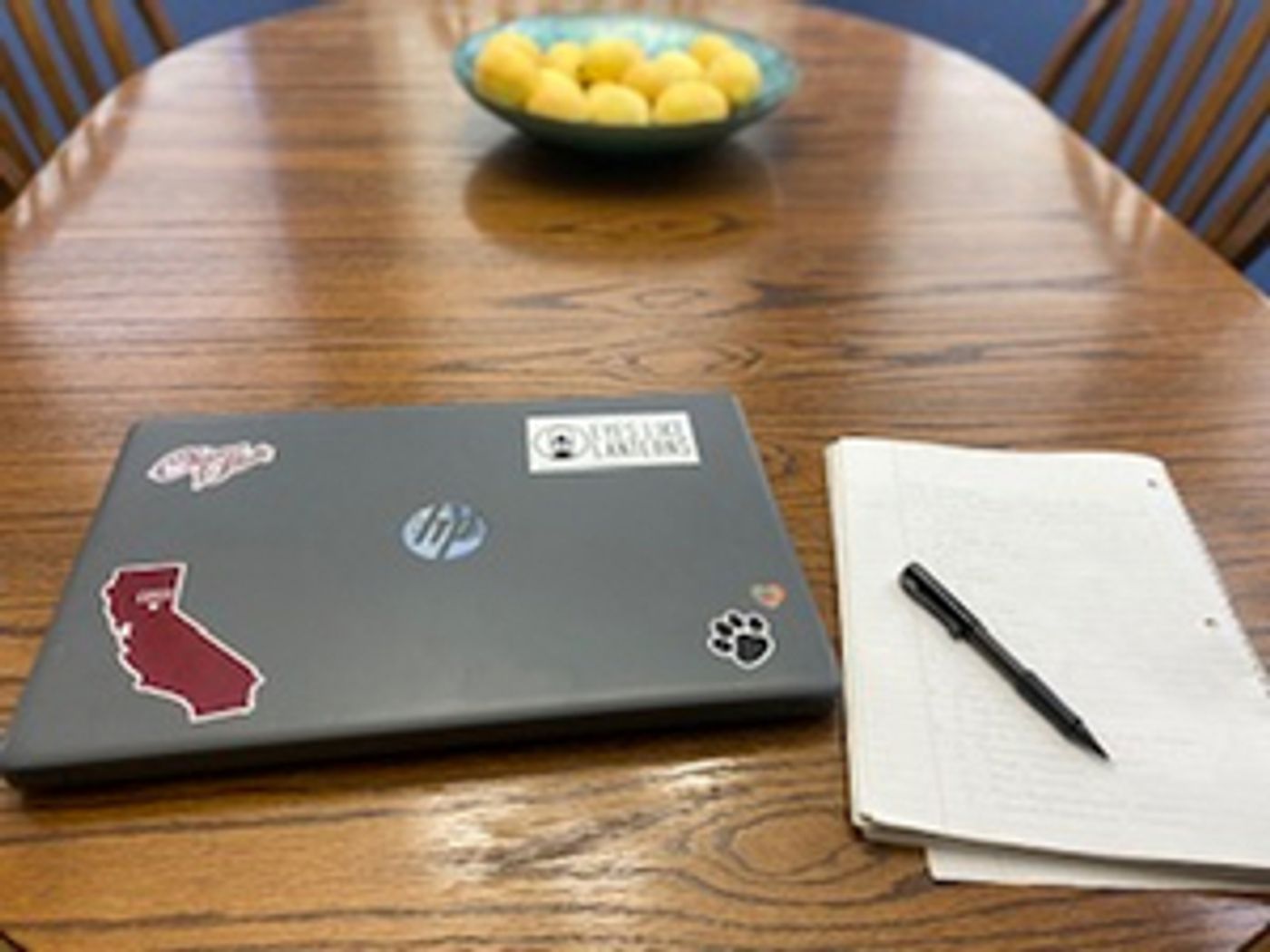 BWW Blog: Experiencing Online Learning As A Theatre Major BWW Blog: Experiencing Online Learning As A Theatre Major Image