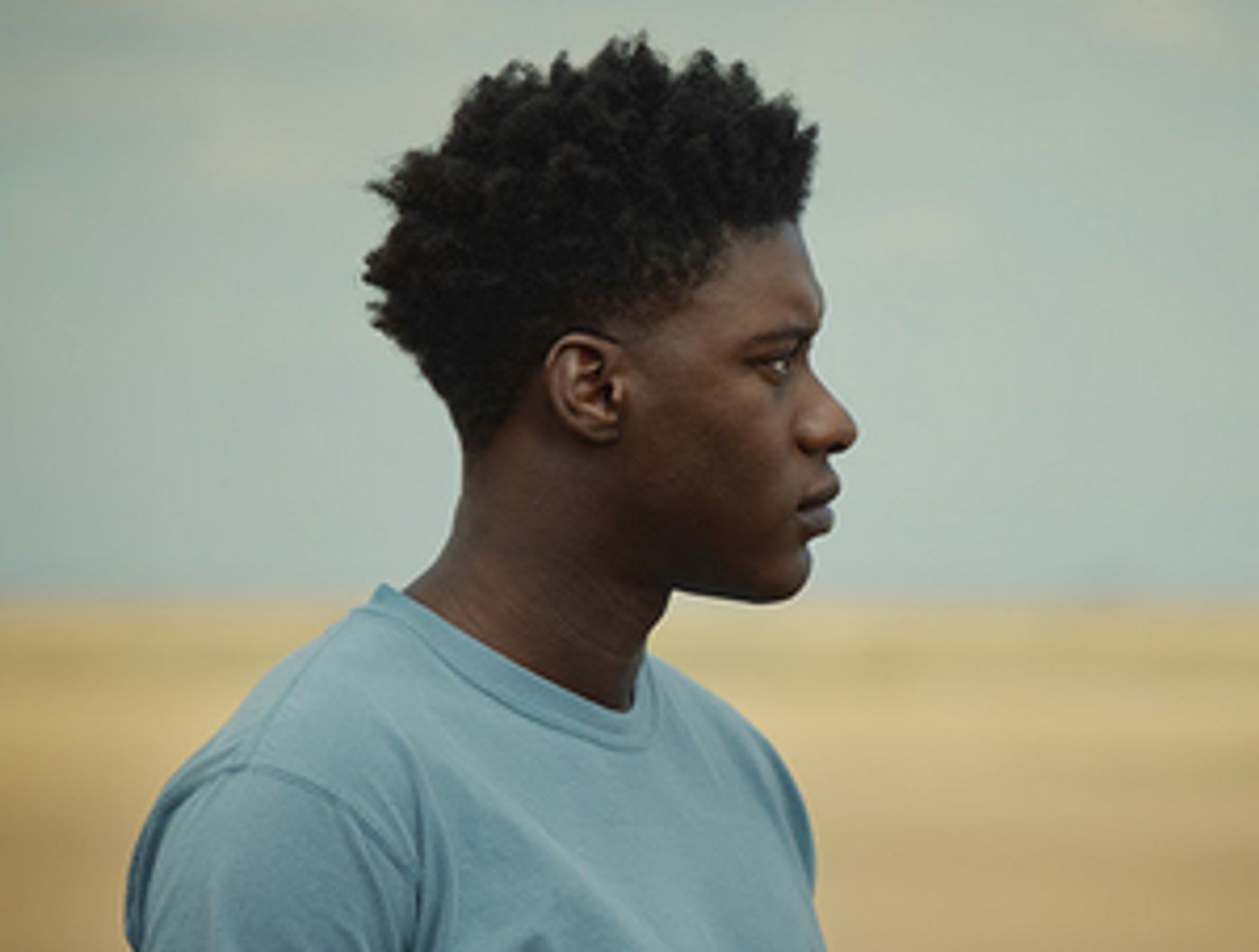 BAM Presents Shola Amoo's Award-Winning Drama THE LAST TREE BAM Presents Shola Amoo's Award-Winning Drama THE LAST TREE Image