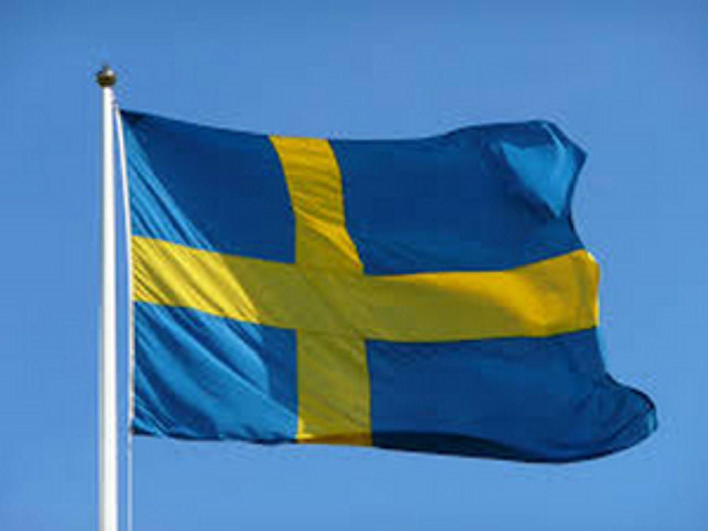 ARTISTS CELEBRATE SWEDEN NATIONAL DAY 6TH OF JUNE  Image