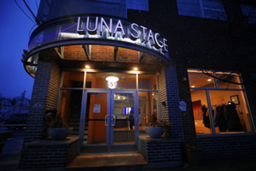 Luna Stage Awarded NEA Grant for Voting Writes Project Image