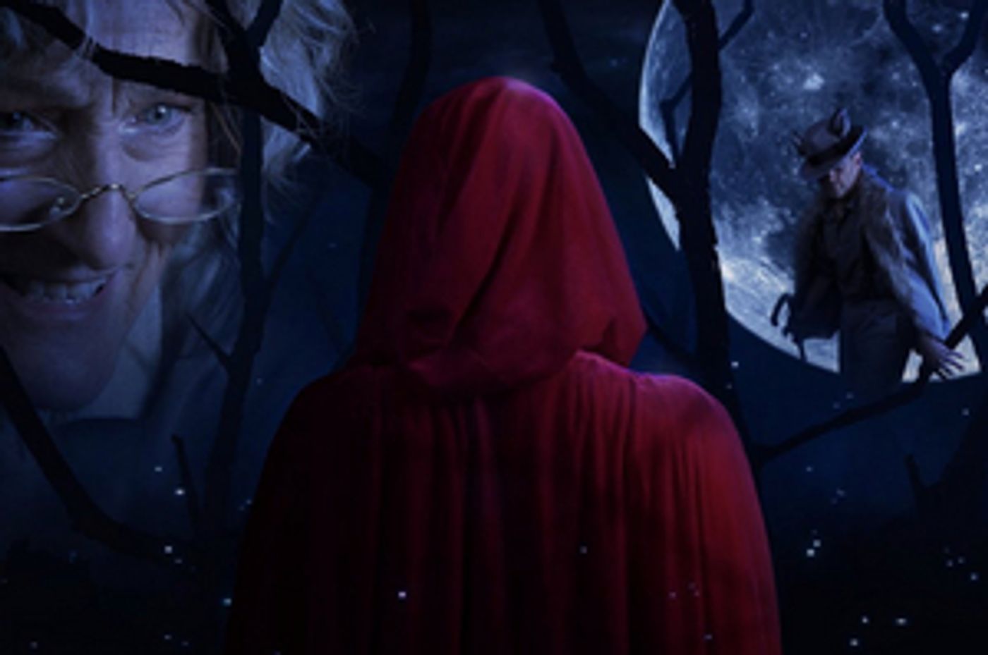 Watch This Announces the Cast For INTO THE WOODS  Image
