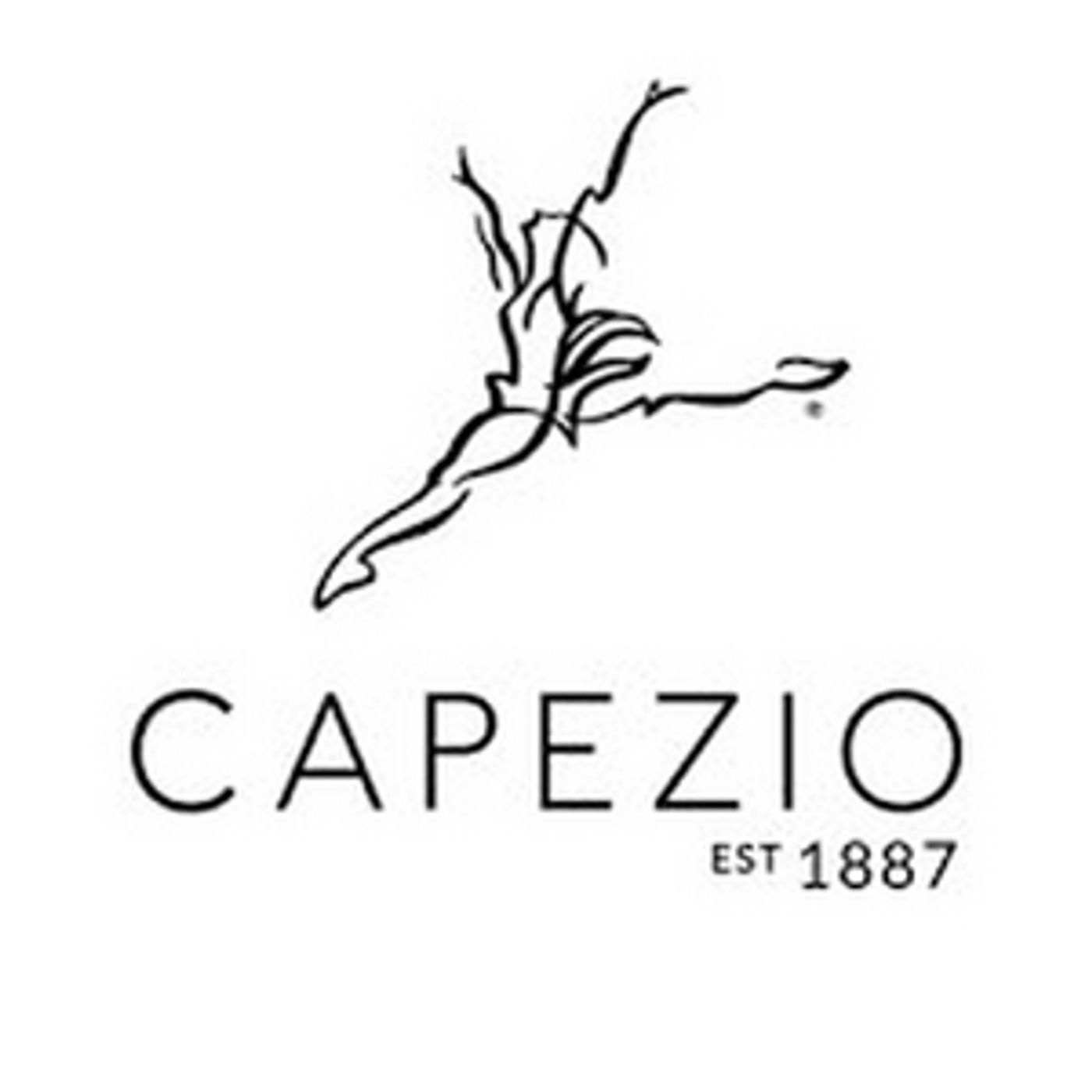 Capezio and Bloch Vow to Release Wider Range of Shades in Dancewear and Shoes  Image