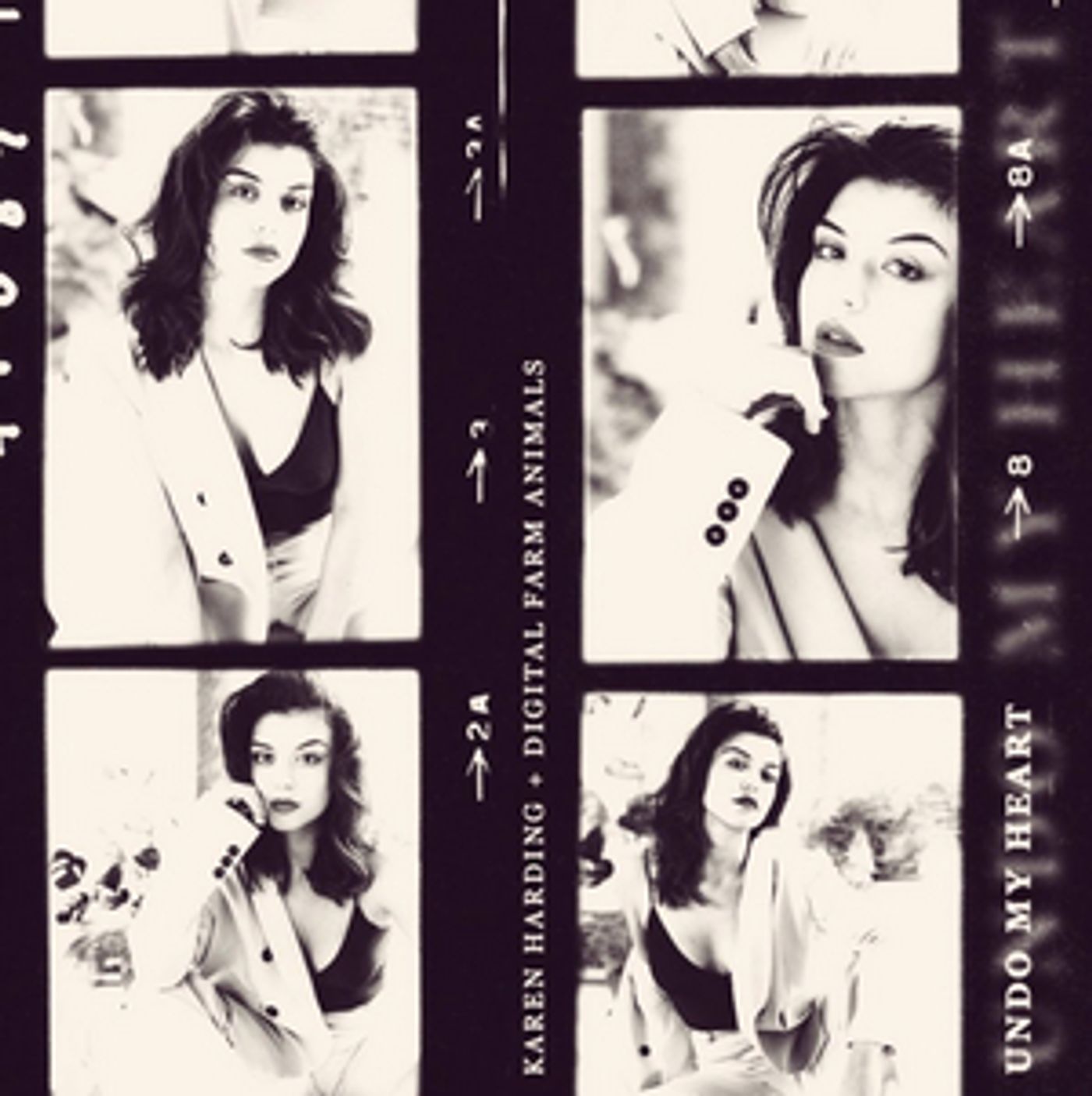 Karen Harding and Digital Farm Animals Release New Collaboration, 'Undo My Heart'  Image