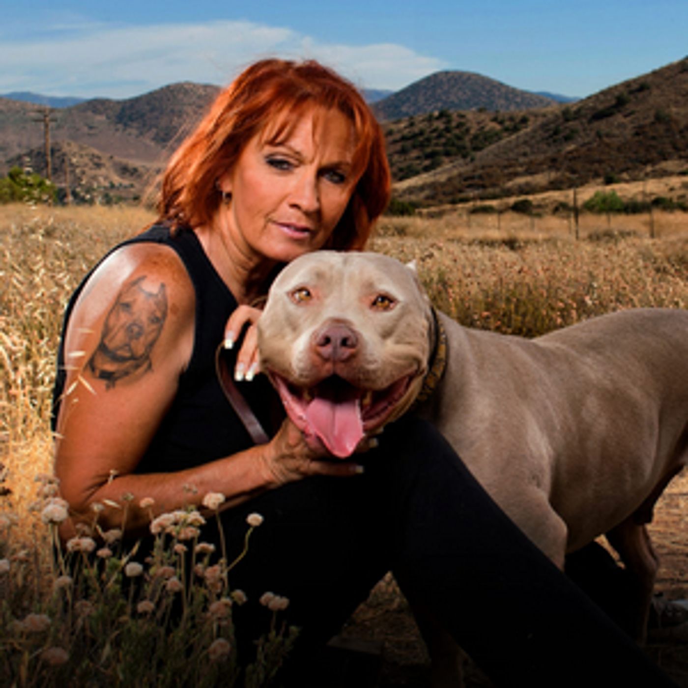 Animal Planet Announces Premiere Date for Return of PIT BULLS & PAROLEES  Image