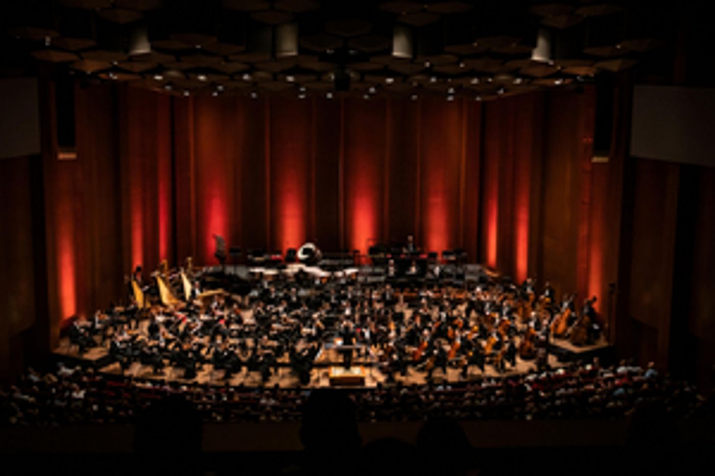 Houston Symphony to Receive $25,000 Grant Houston Symphony to Receive $25,000 Grant Image