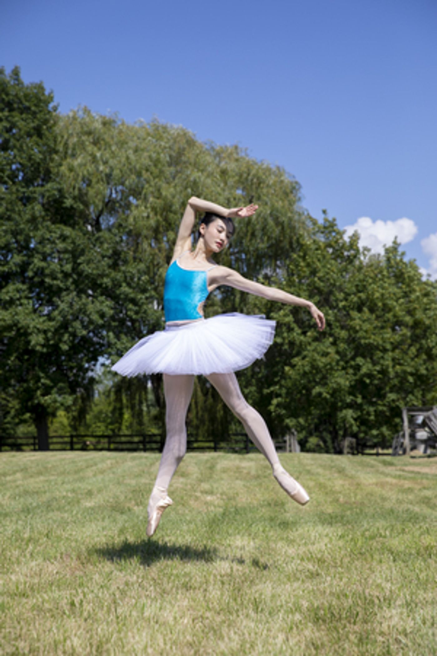 Kaatsbaan Cultural Park Announces Summer Festival 2020 Kaatsbaan Cultural Park Announces Summer Festival 2020 Image