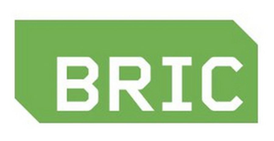 BRIC Launches Educational Programming in Partnership with NYC DOE  Image