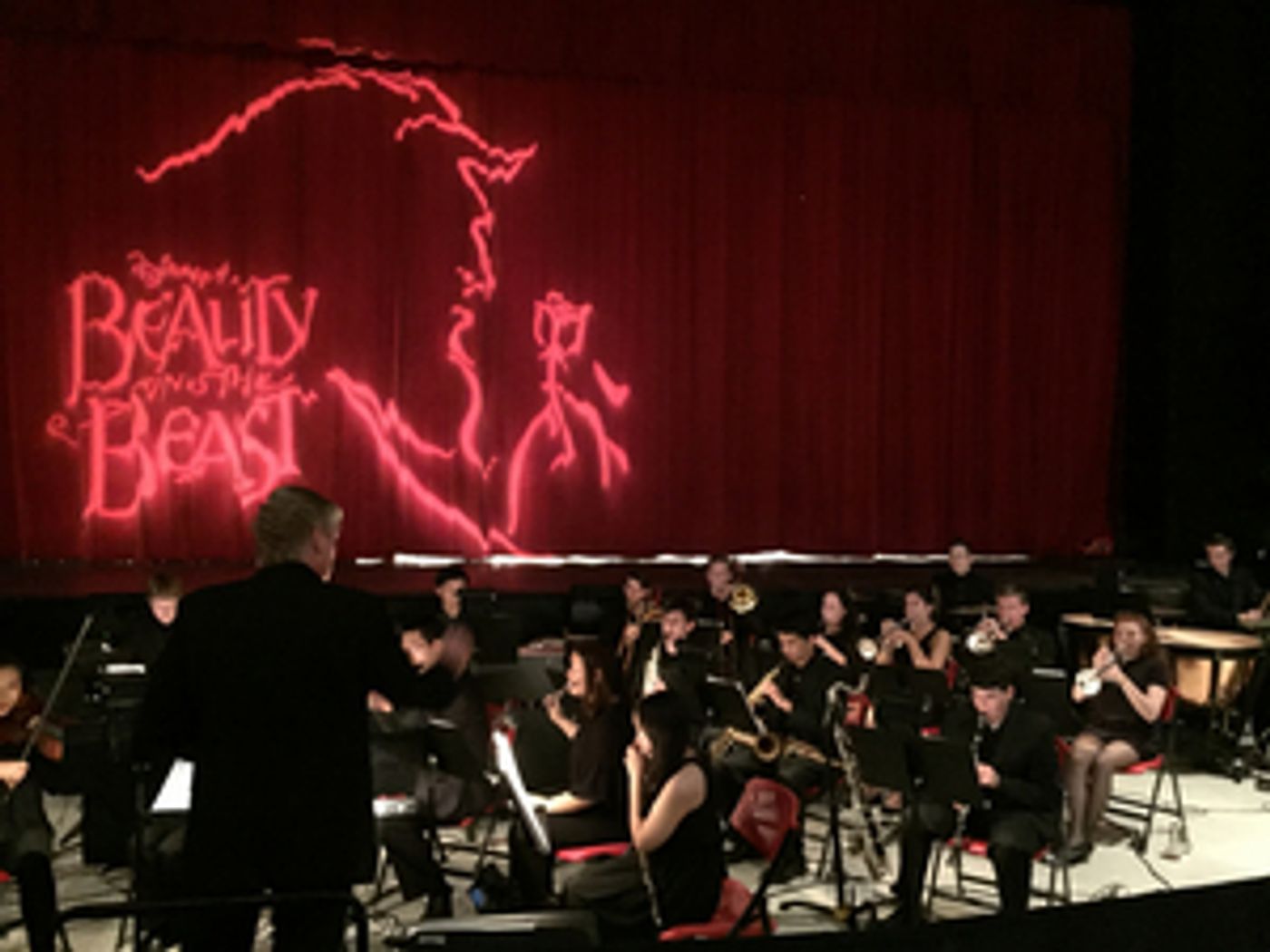BWW Blog: From The Eyes of the Pit Orchestra BWW Blog: From The Eyes of the Pit Orchestra Image