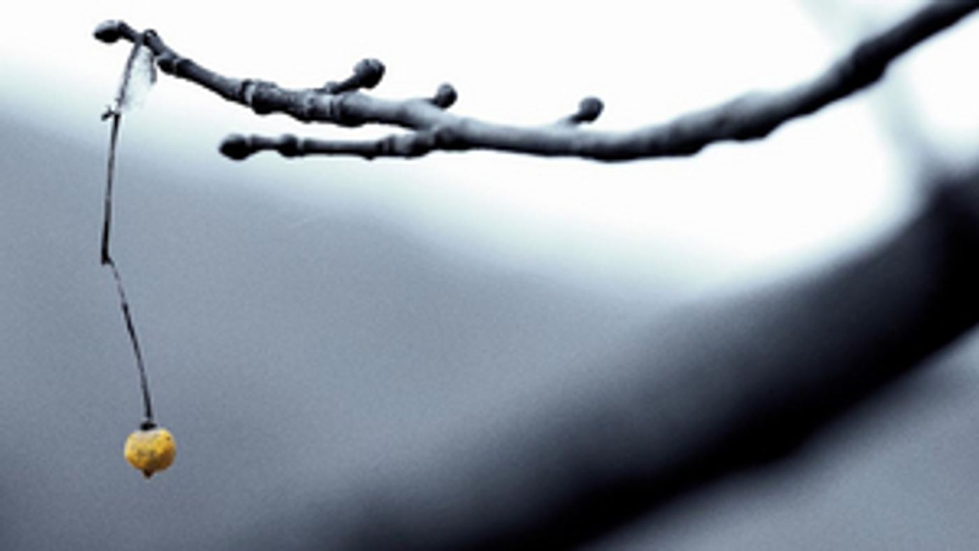 Pinegrove Shares New Video For 'Endless' Pinegrove Shares New Video For 'Endless' Image