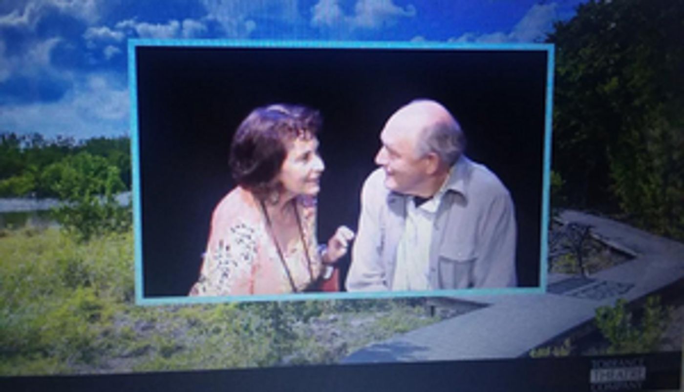 Review: Torrance Theatre Company Continues Play-At-Home Online Series with KALAMAZOO  Image