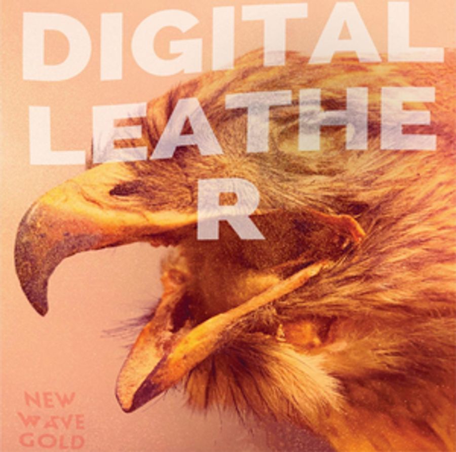 Digital Leather Announces New Album NEW WAVE GOLD & Shares First Single 'A Cut Above' Image