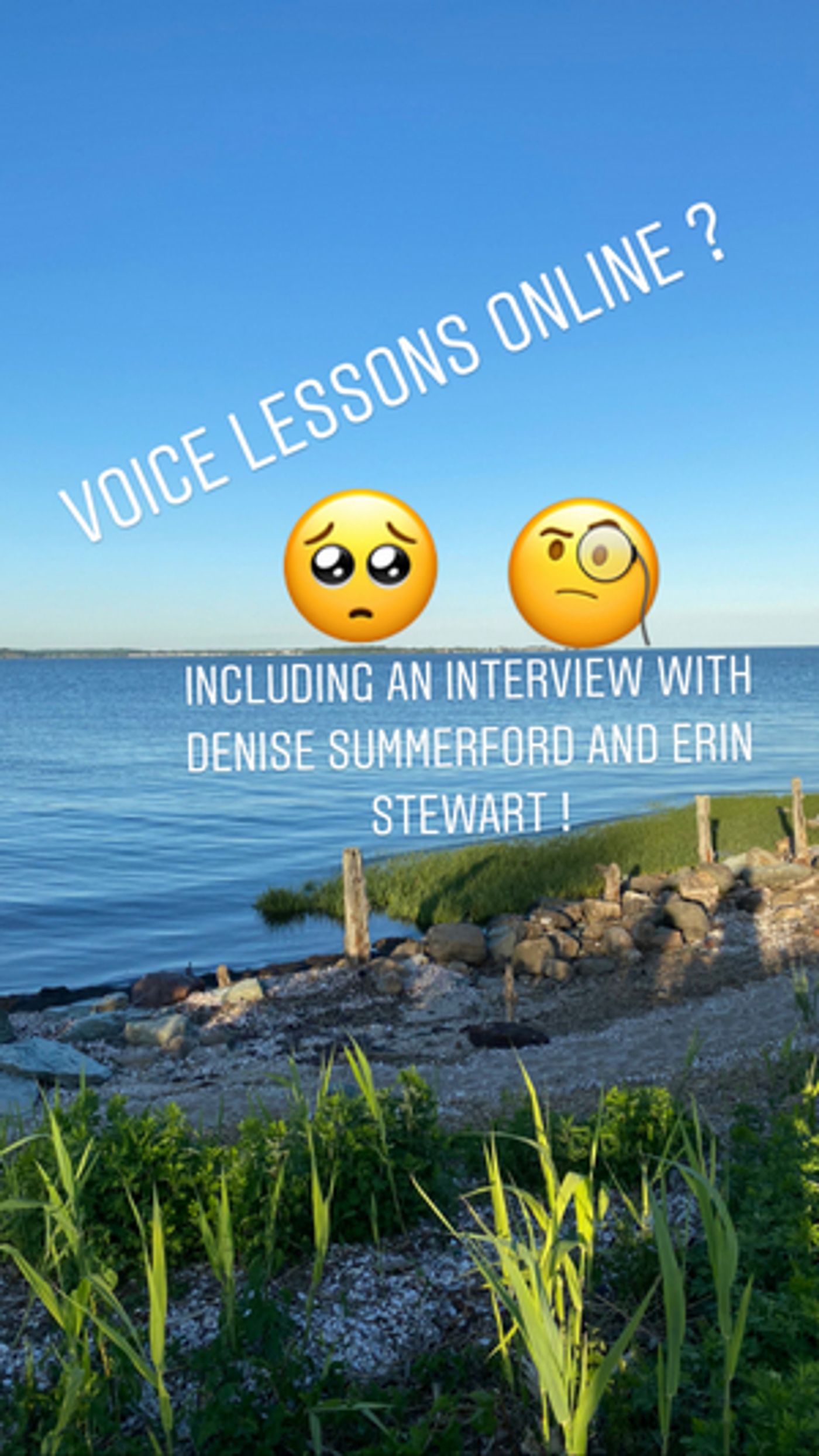 BWW Blog: Voice Lessons Online? How Can I Do That?  Image