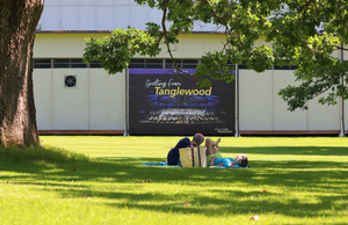 Week Four of the Tanglewood Online Festival Features Lauren Ambrose, Yo-Yo Ma and More Week Four of the Tanglewood Online Festival Features Lauren Ambrose, Yo-Yo Ma and More Image