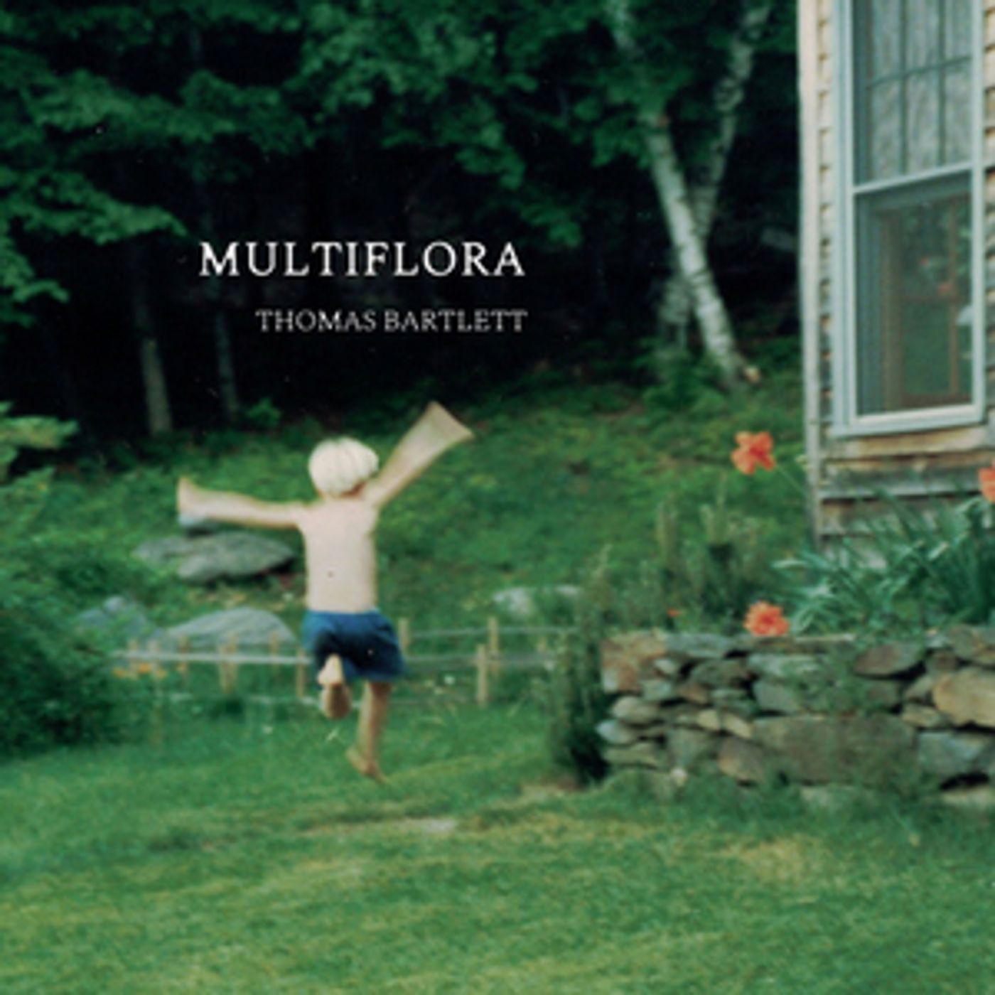 Thomas Bartlett Reveals New Song 'Multiflora'  Image
