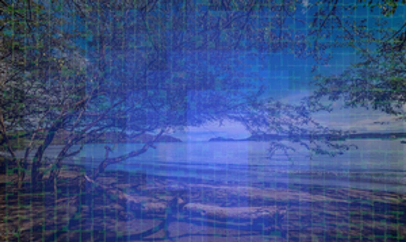 Review: MYLES AWAY Review: MYLES AWAY Image