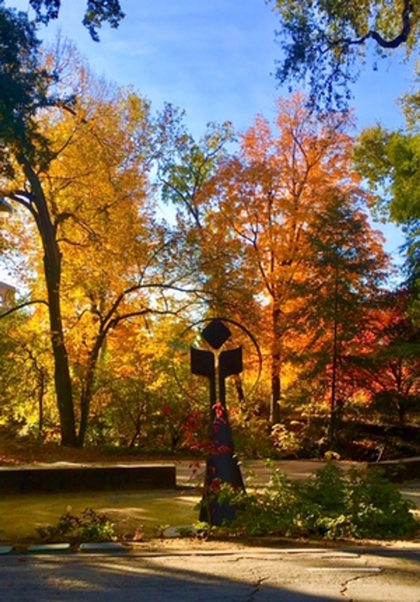 BWW Blog: Why I Chose Chico State  Image