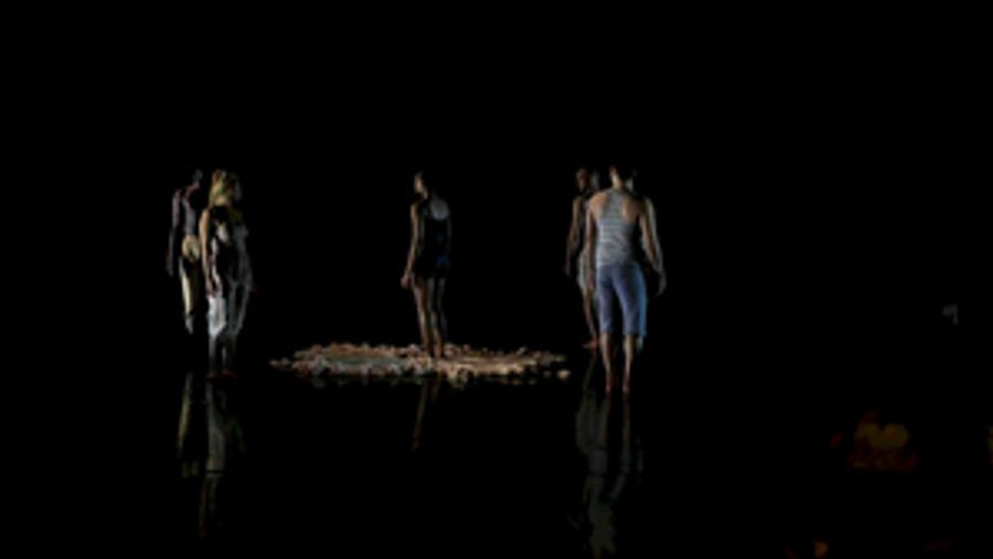 University of Florida Hosts Virtual SWAMP DANCE FEST! on Zoom  Image