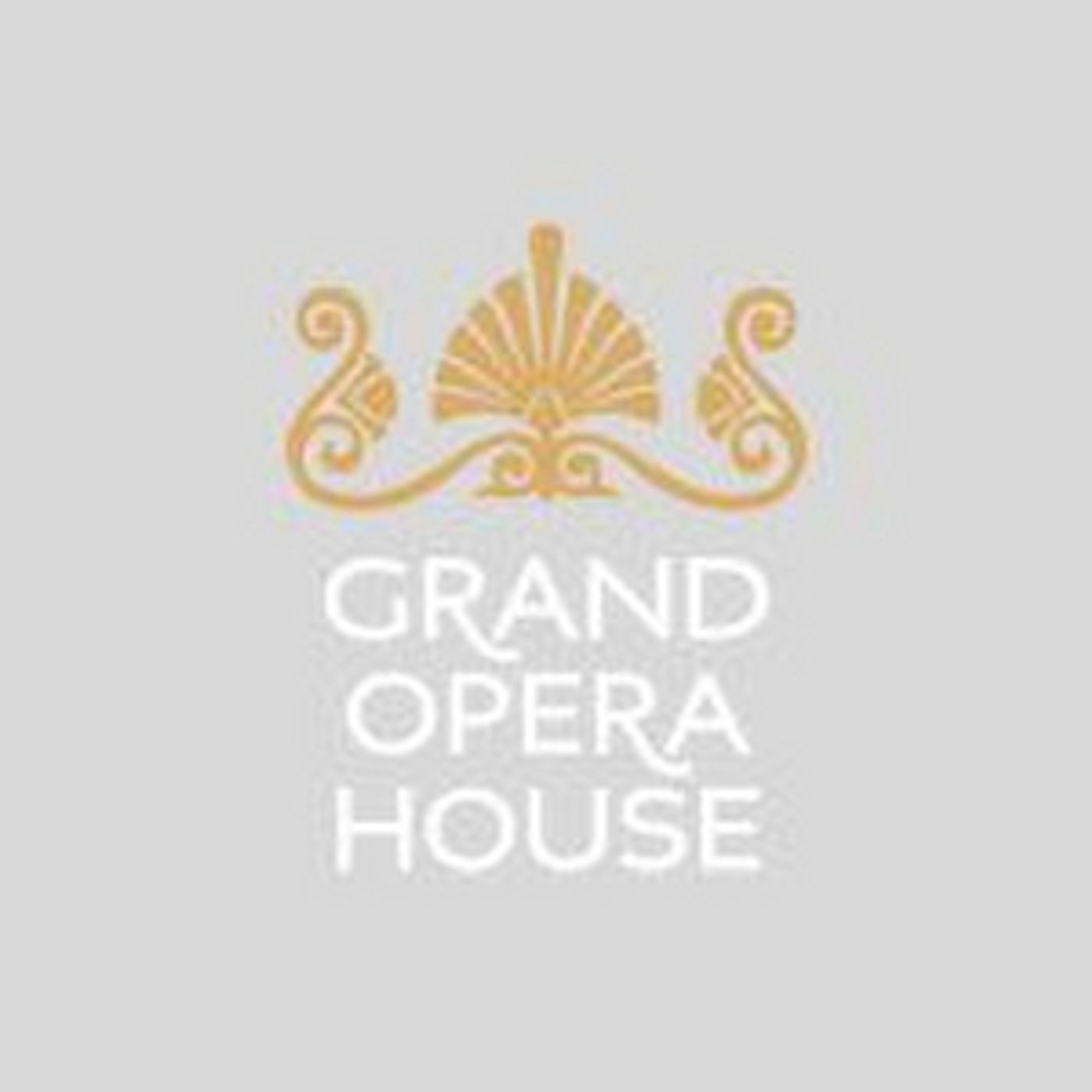 Grand Opera House Re-Opening Plans Delayed Due to the Health Crisis Grand Opera House Re-Opening Plans Delayed Due to the Health Crisis Image