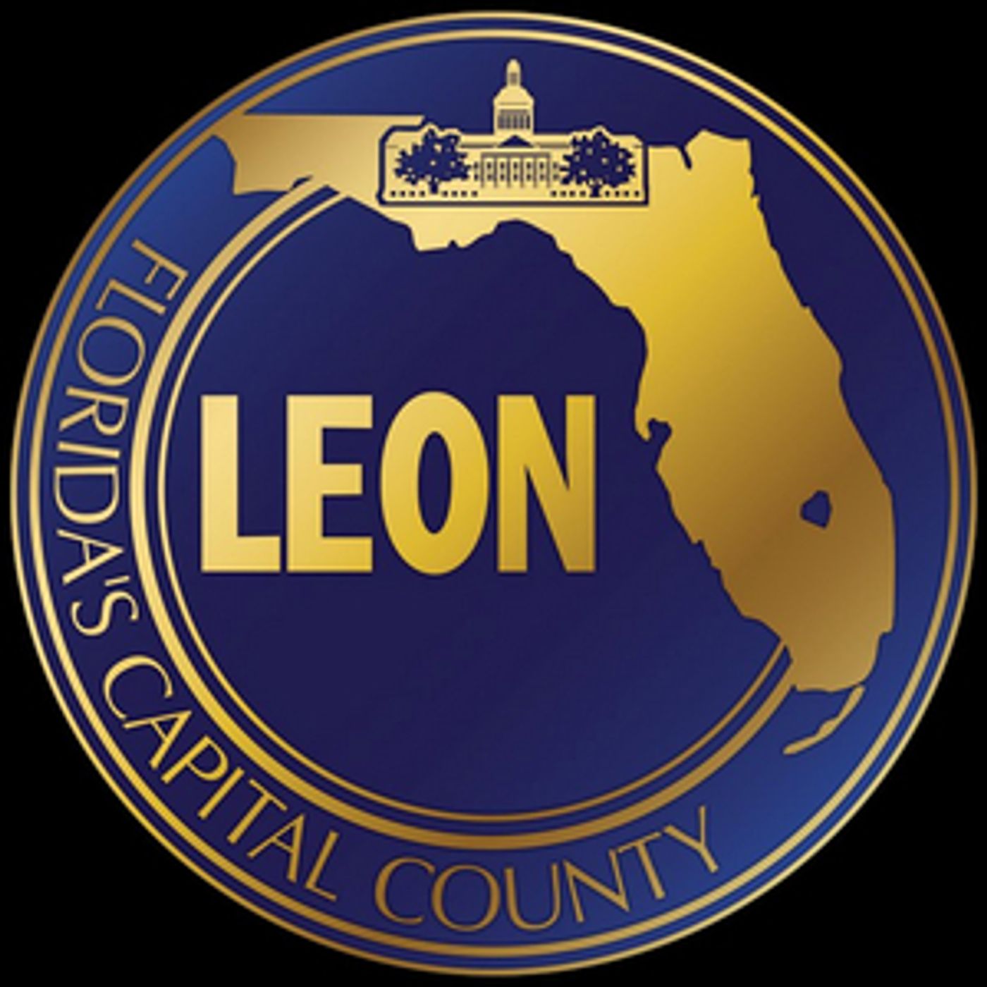 Leon CARES Local Human Services Assistance Grant Program Launched  Image
