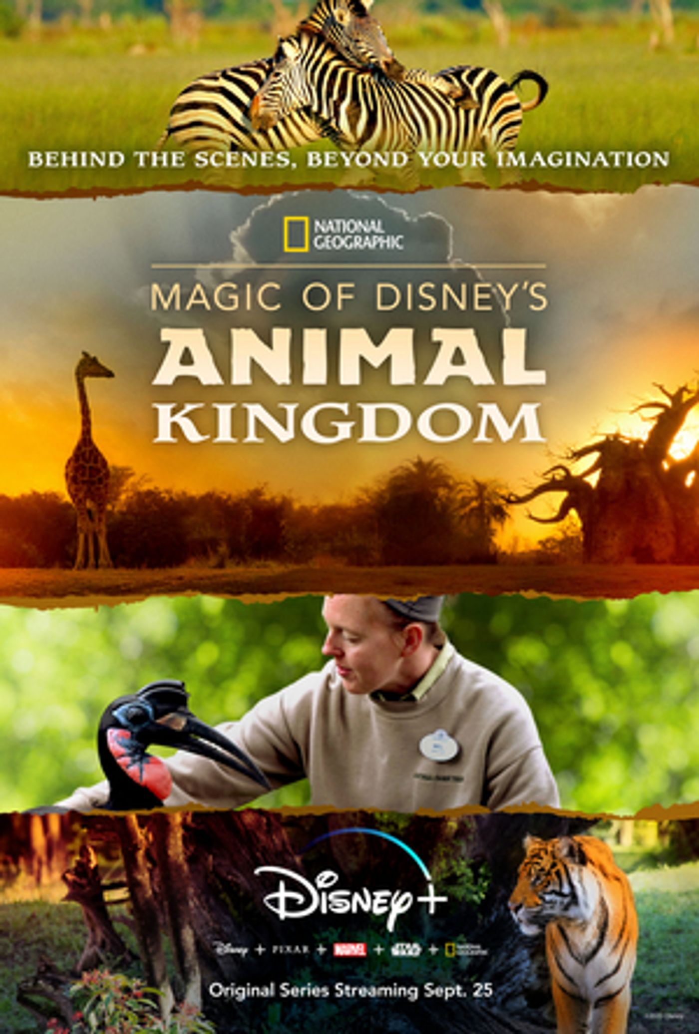 Disney+ to Premiere MAGIC OF DISNEY'S ANIMAL KINGDOM Narrated by Josh Gad  Image
