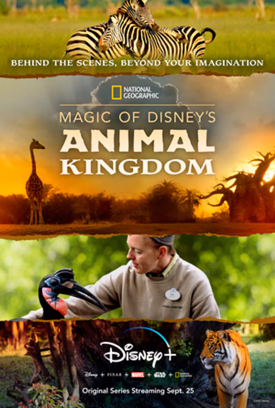Disney+ to Premiere MAGIC OF DISNEY'S ANIMAL KINGDOM Narrated by Josh Gad Image