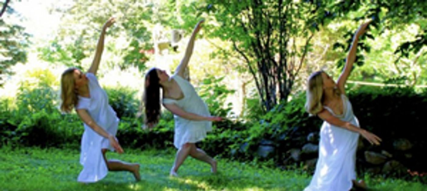 Neighbourhood Dance Works Presents Kittiwake Dance Theatre in Your Garden  Image