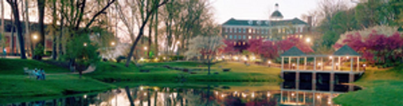 BWW Blog: How Far I'll Go  Image