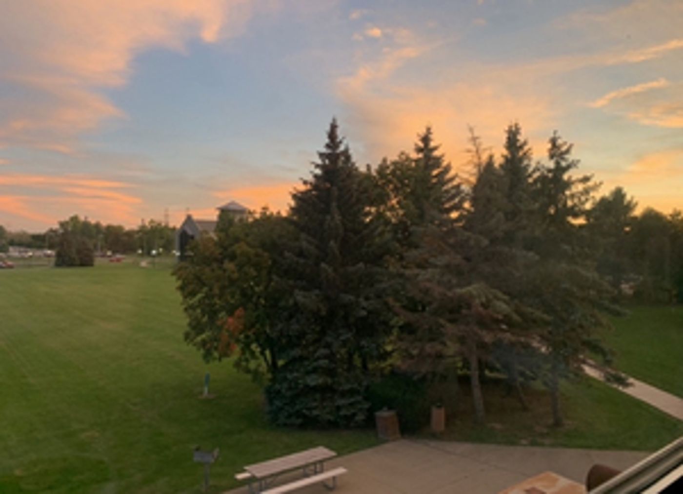 BWW Blog: Decisions, Decisions, and Nothing But Decisions!  Image