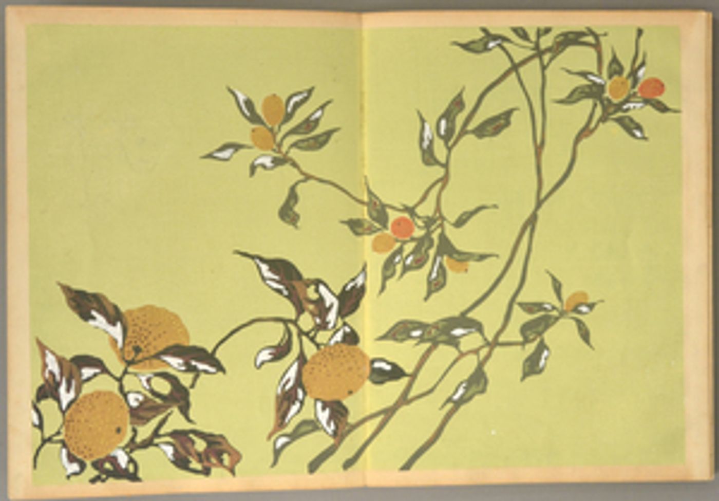 44th Boston International Antiquarian Book Fair Goes Virtual  Image