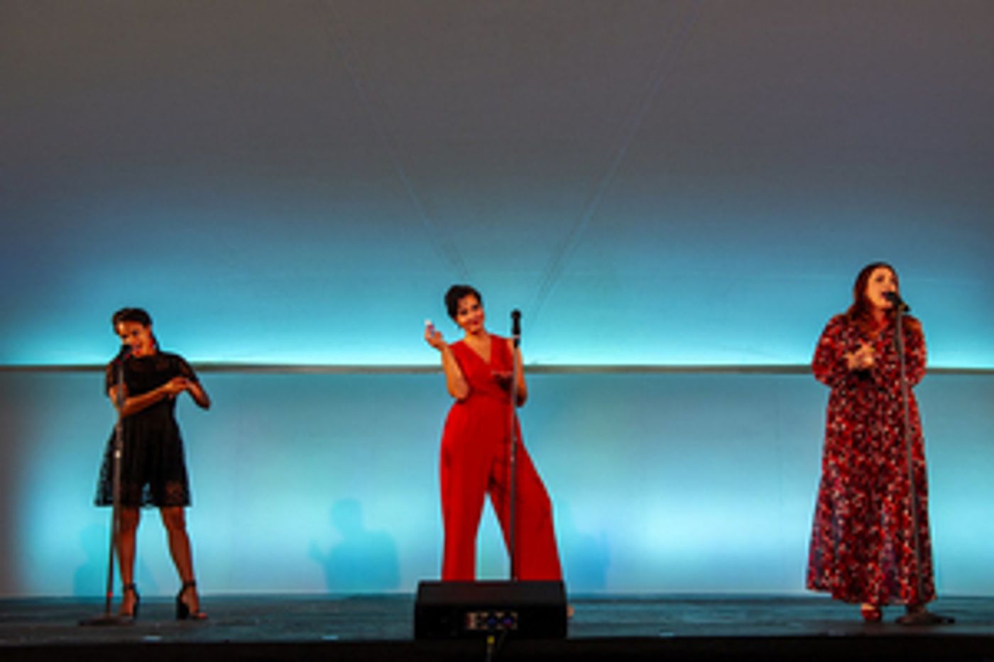 Review: THE HILLS ARE ALIVE WITH RODGERS & HAMMERSTEIN at Barrington Stage Company Review: THE HILLS ARE ALIVE WITH RODGERS & HAMMERSTEIN at Barrington Stage Company Image