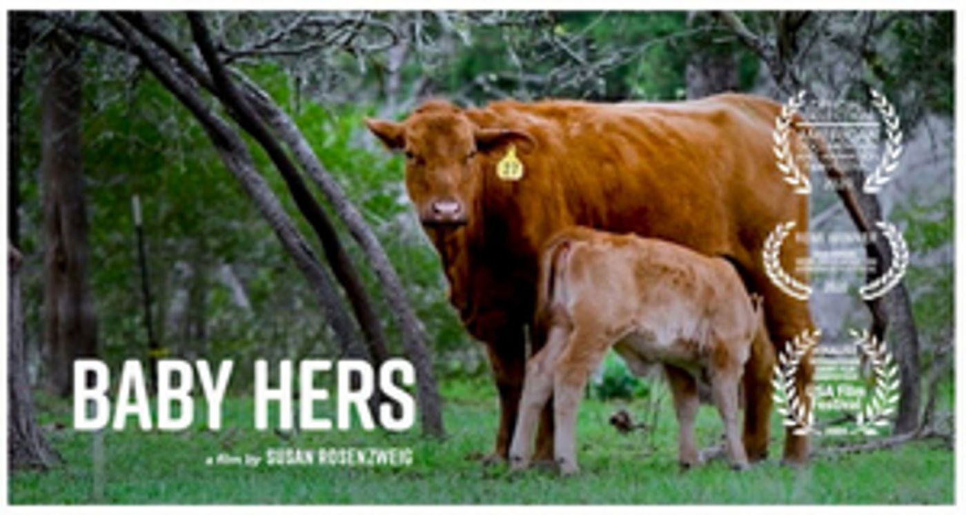 Susan Rosenzweig's Documentary Short BABY HERS Will Make You Rethink Your Daily Latte Susan Rosenzweig's Documentary Short BABY HERS Will Make You Rethink Your Daily Latte Image