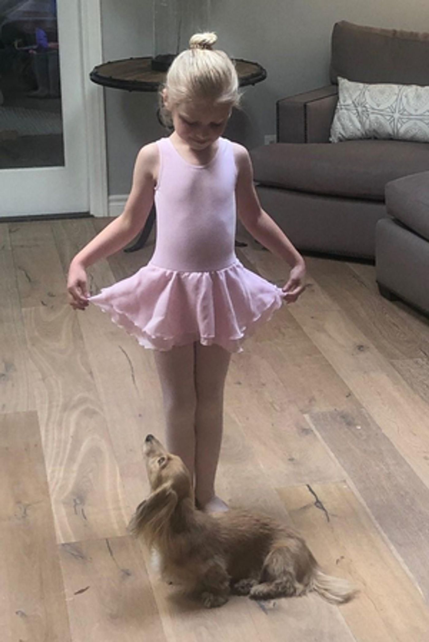 Segerstrom Center For The Arts Announces Schools Opening in September Segerstrom Center For The Arts Announces Schools Opening in September Image