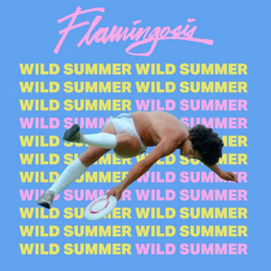 Flamingosis Drops An Ode To Summer Anthem 'Wild Summer' Image
