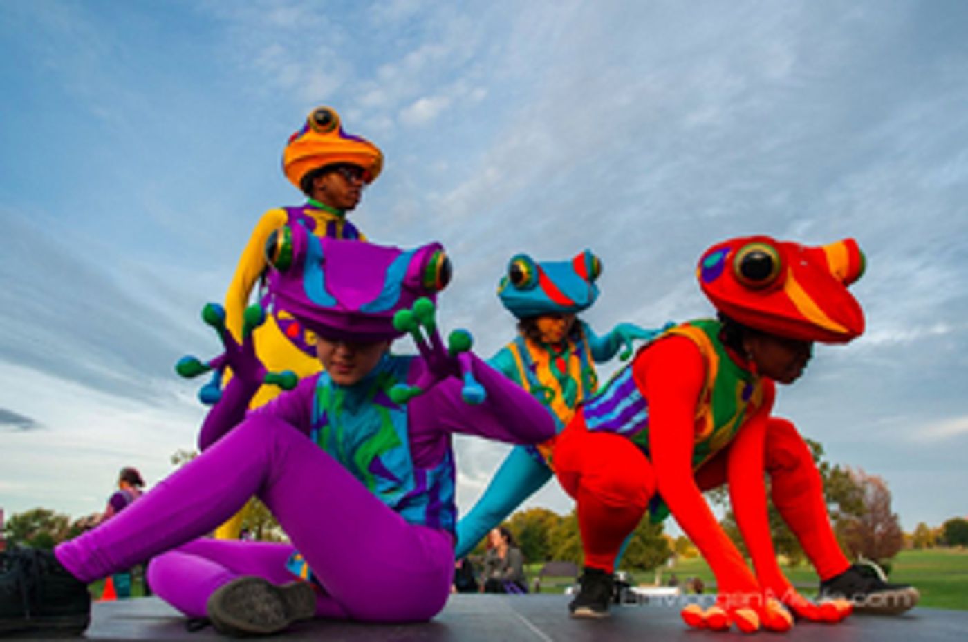 NIGHT FALL is Coming to the Screen for 2020  Image