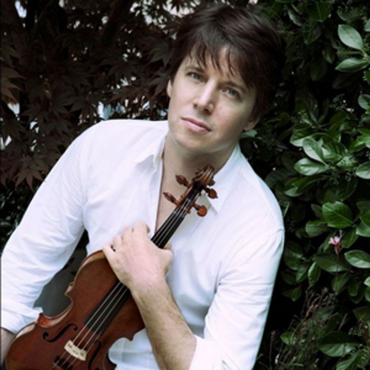 Saratoga Performing Arts Center Presents Joshua Bell and Time For Three in September Saratoga Performing Arts Center Presents Joshua Bell and Time For Three in September Image